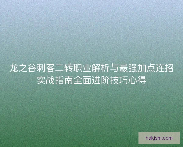 龙之谷刺客二转职业解析与最强加点连招实战指南全面进阶技巧心得